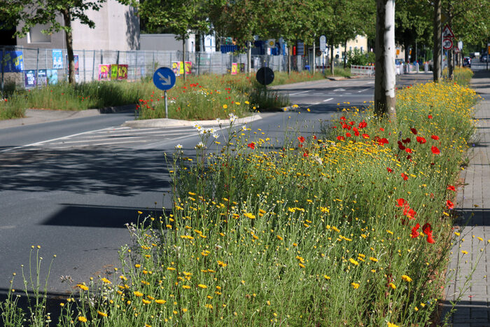 Westendstraße Wetzlar